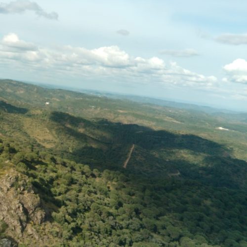 Antenas