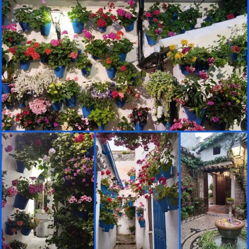 patios
